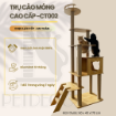 Ảnh của Trụ cào móng nhà cây cho mèo PETDECOR CT002 – Cat tree gỗ lắp ráp cao 170cm