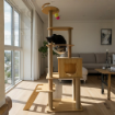 Ảnh của Trụ cào móng nhà cây cho mèo PETDECOR CT002 – Cat tree gỗ lắp ráp cao 170cm