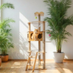 Ảnh của Trụ cào móng nhà cây cho mèo PETDECOR CT005 – Cattree gỗ MDF lắp ráp cao 165cm